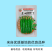 苏润樟树1号辣椒种子早熟杂交高品质正宗樟树港辣椒短羊角