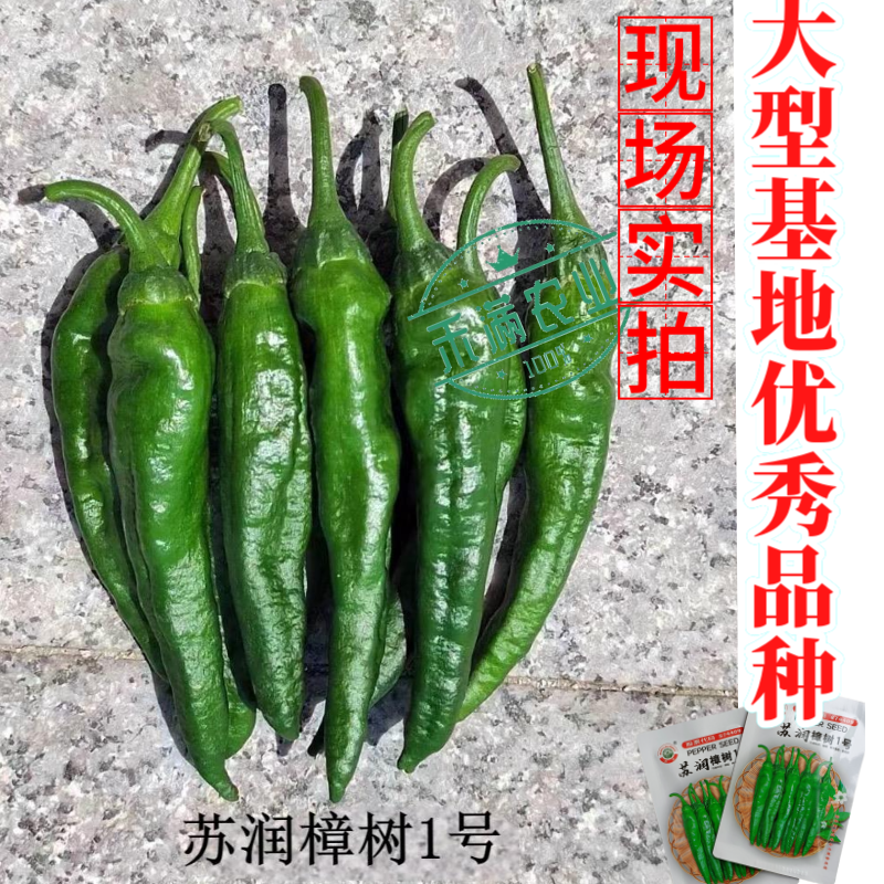 苏润樟树1号辣椒种子早熟杂交高品质正宗樟树港辣椒短羊角