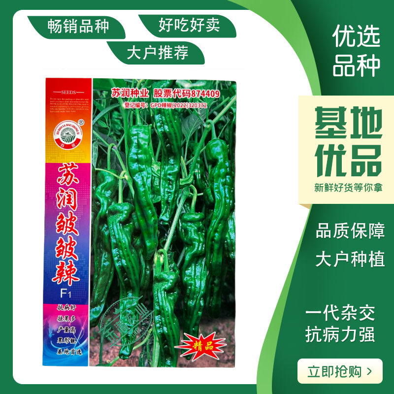 【苏润种业】苏润皱皱辣牛角型皱皮辣椒种子薄皮辣椒基地**