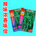 【苏润种业】苏润皱皱辣牛角型皱皮辣椒种子薄皮辣椒基地**