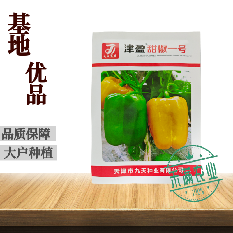 黄色甜椒种子灯笼辣椒阳台四季秧彩椒蔬菜幼苗秧苗菜苗种籽孑
