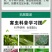 联苯菊酯茶树茶小绿叶蝉茶尺蠖白粉虱红蜘蛛蚜虫菜青虫蓟马