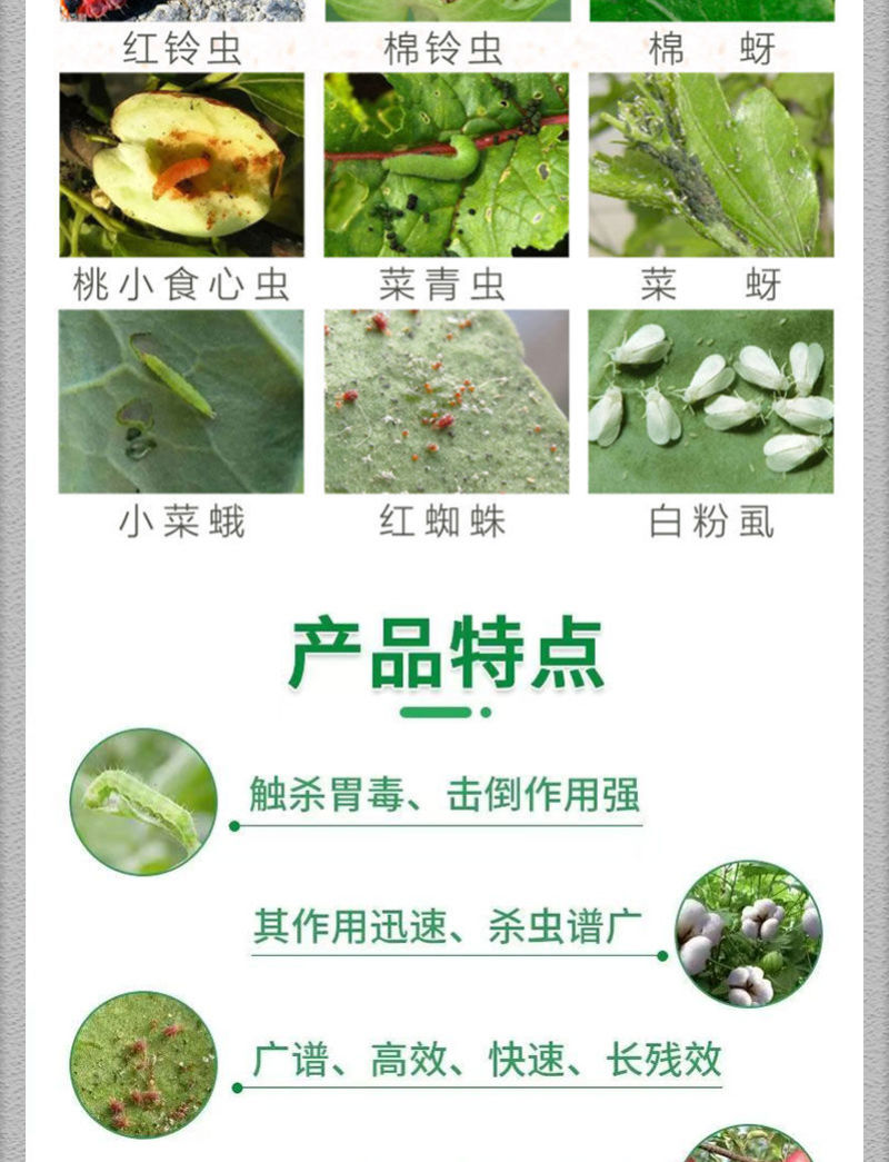 联苯菊酯茶树茶小绿叶蝉茶尺蠖白粉虱红蜘蛛蚜虫菜青虫蓟马
