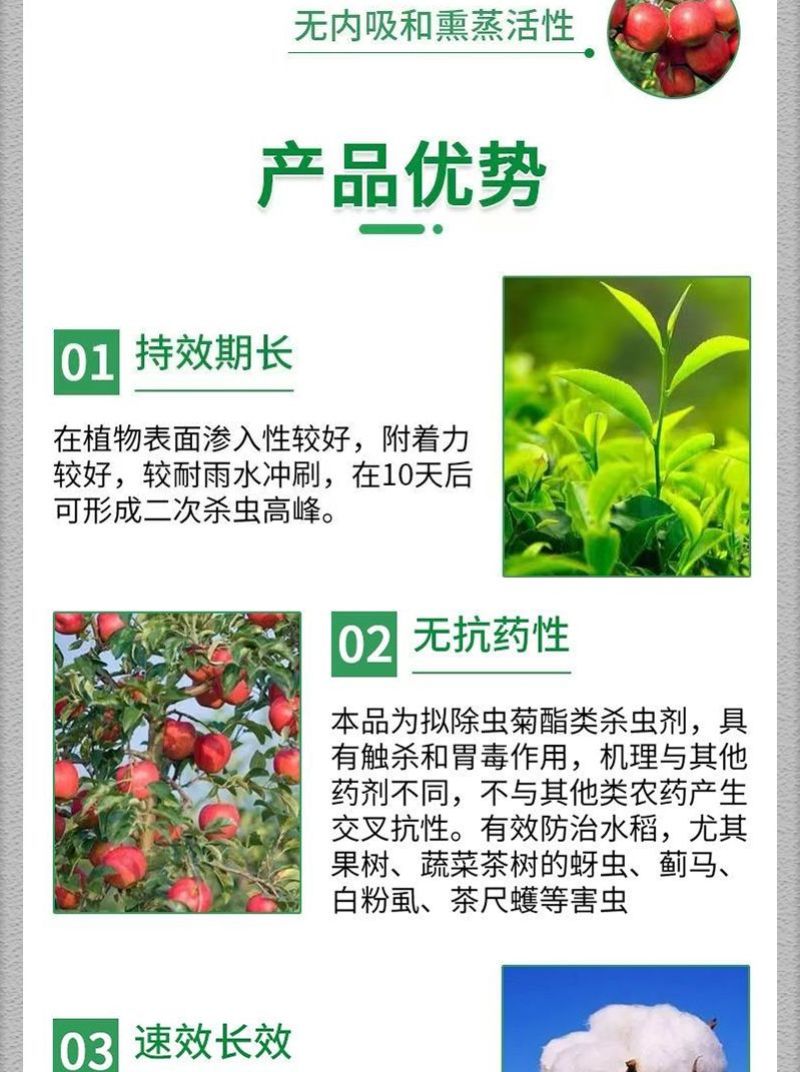 联苯菊酯茶树茶小绿叶蝉茶尺蠖白粉虱红蜘蛛蚜虫菜青虫蓟马