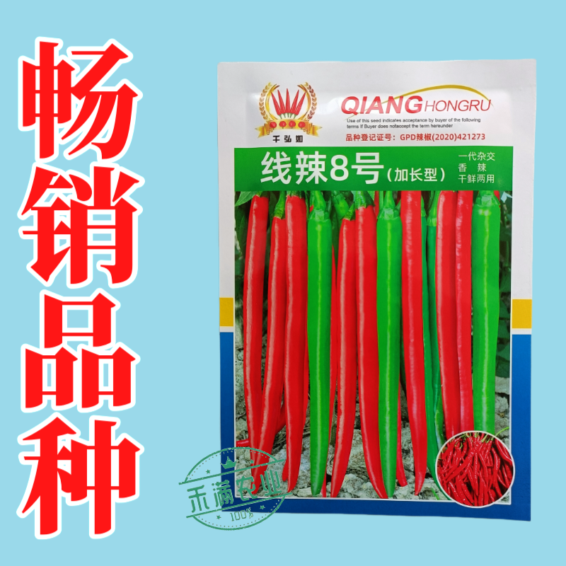 线辣8号基地优品长线椒种子香辣王贵州湖南云南辣椒种籽超长
