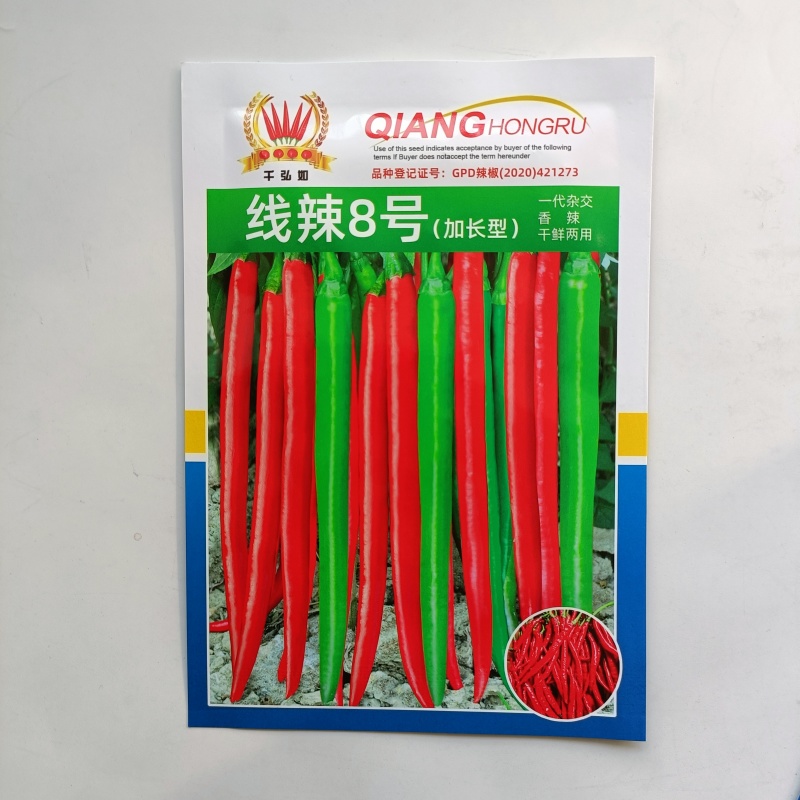 线辣8号基地优品长线椒种子香辣王贵州湖南云南辣椒种籽超长