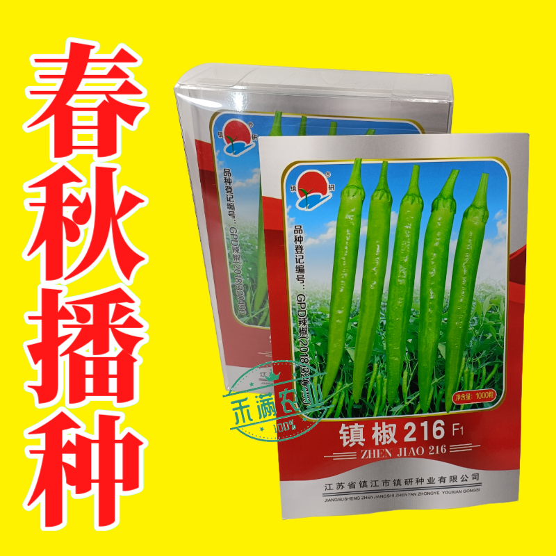 九十月可育苗优质杭椒种子美人椒种籽羊角椒镇椒216高产早