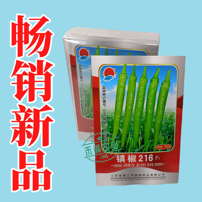 九十月可育苗优质杭椒种子美人椒种籽羊角椒镇椒216高产早