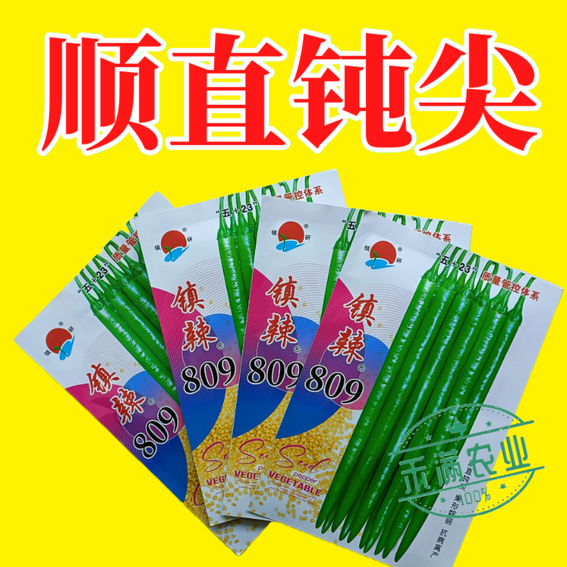 镇研镇辣809线椒种子椒条顺直钝尖厚肉耐运输高产抗病蔬