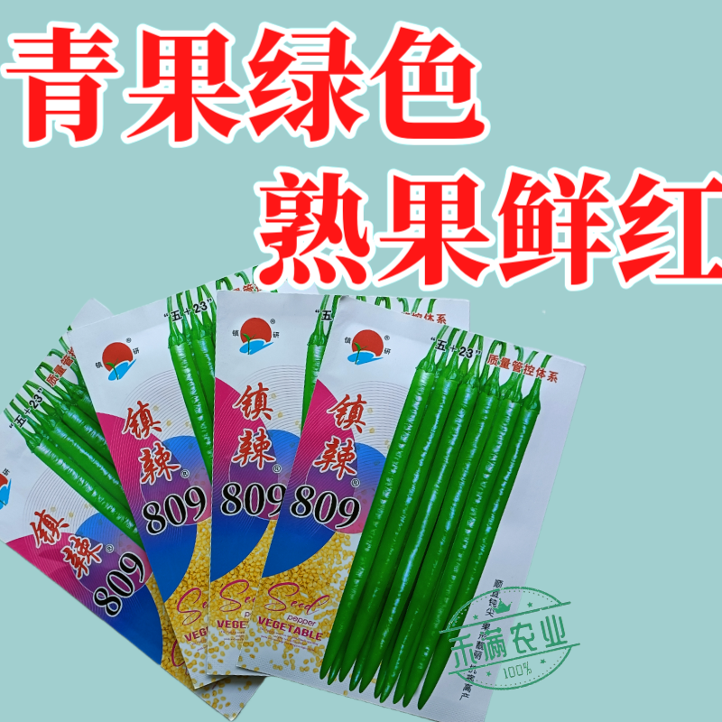 镇研镇辣809线椒种子椒条顺直钝尖厚肉耐运输高产抗病蔬