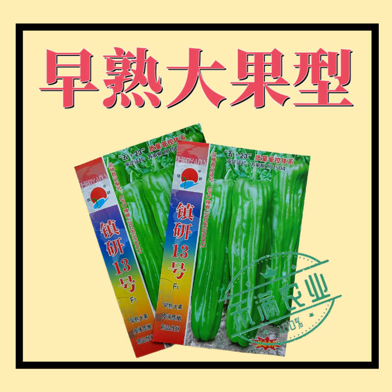 镇研13号大果辣椒种籽薄皮辣椒种子大全春秋季蔬菜种孑四季