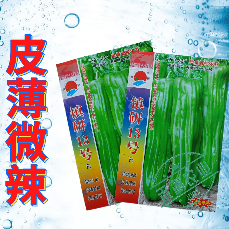 镇研13号大果辣椒种籽薄皮辣椒种子大全春秋季蔬菜种孑四季