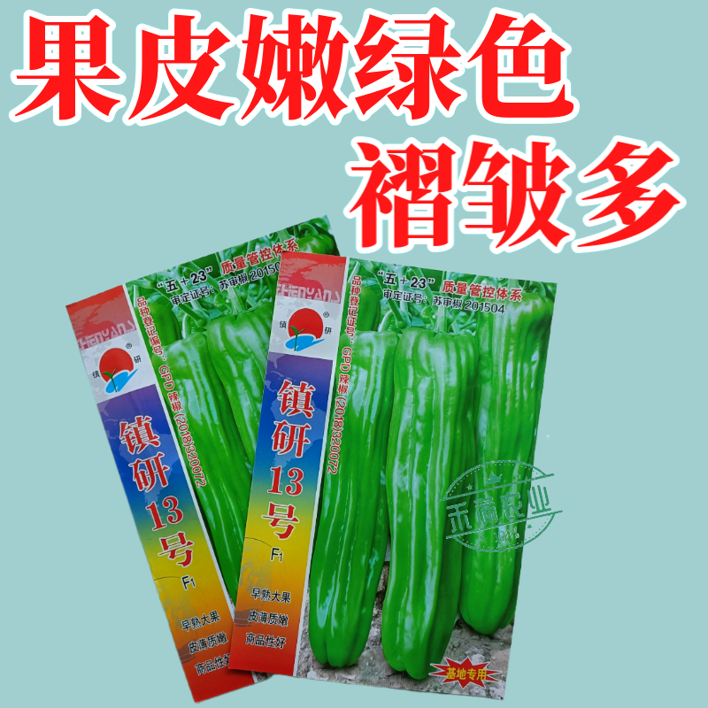 镇研13号大果辣椒种籽薄皮辣椒种子大全春秋季蔬菜种孑四季