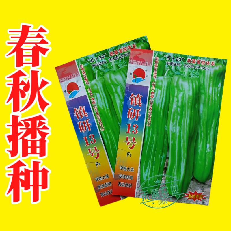 镇研13号大果辣椒种籽薄皮辣椒种子大全春秋季蔬菜种孑四季