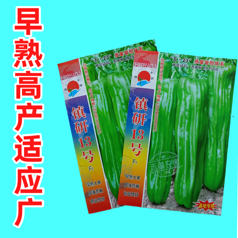 镇研13号大果辣椒种籽薄皮辣椒种子大全春秋季蔬菜种孑四季