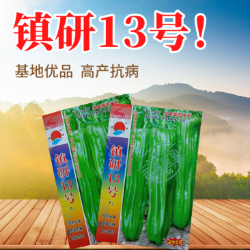 镇研13号大果辣椒种籽薄皮辣椒种子大全春秋季蔬菜种孑四季