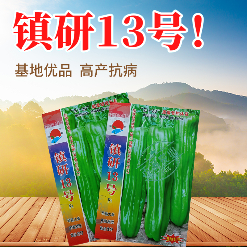 镇研13号大果辣椒种籽薄皮辣椒种子大全春秋季蔬菜种孑四季