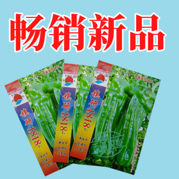 九十月可育苗辣椒院士出品薄皮大果辣椒种子秋季育苗高产早熟