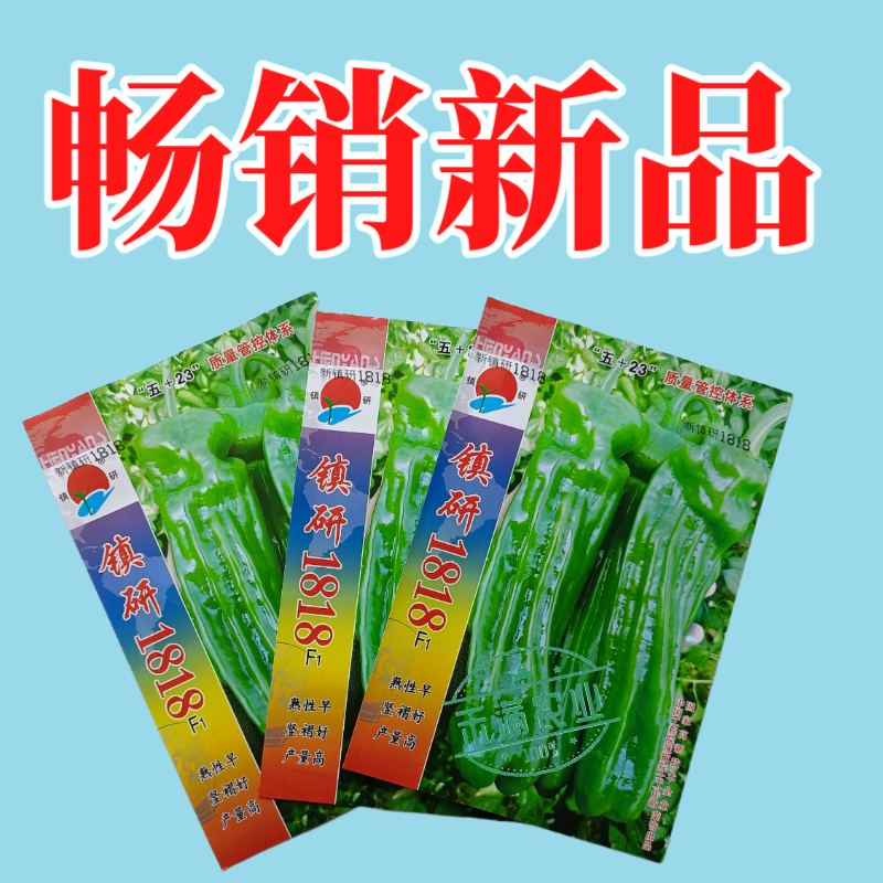 九十月可育苗辣椒院士出品薄皮大果辣椒种子秋季育苗高产早熟