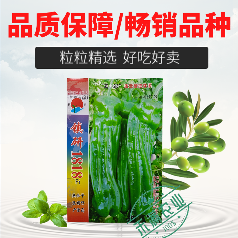 九十月可育苗辣椒院士出品薄皮大果辣椒种子秋季育苗高产早熟