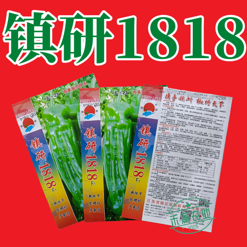 九十月可育苗辣椒院士出品薄皮大果辣椒种子秋季育苗高产早熟