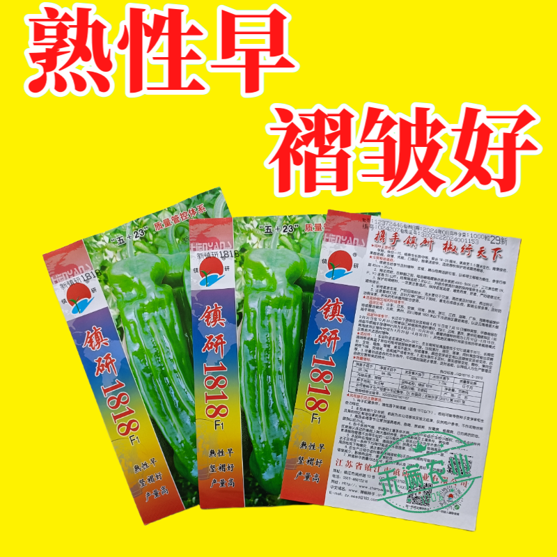九十月可育苗辣椒院士出品薄皮大果辣椒种子秋季育苗高产早熟