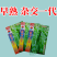 九十月可育苗辣椒院士出品薄皮大果辣椒种子秋季育苗高产早熟