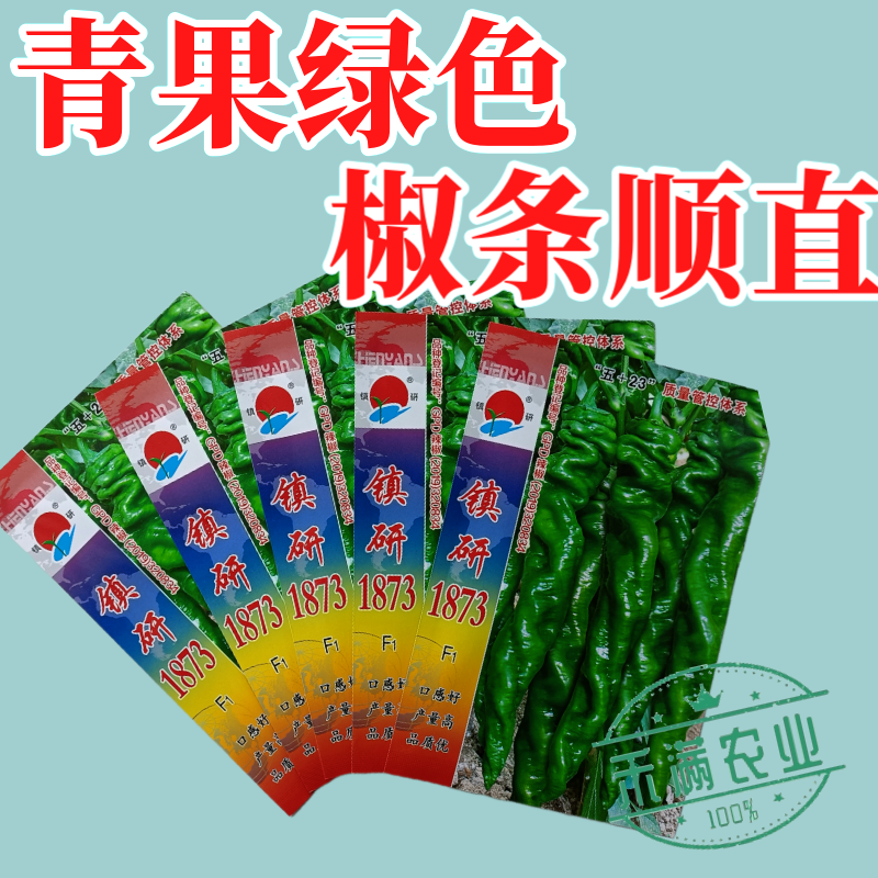 畅销全螺形螺丝椒种子抗逆抗病性强香辣高产辣椒种籽早春种植