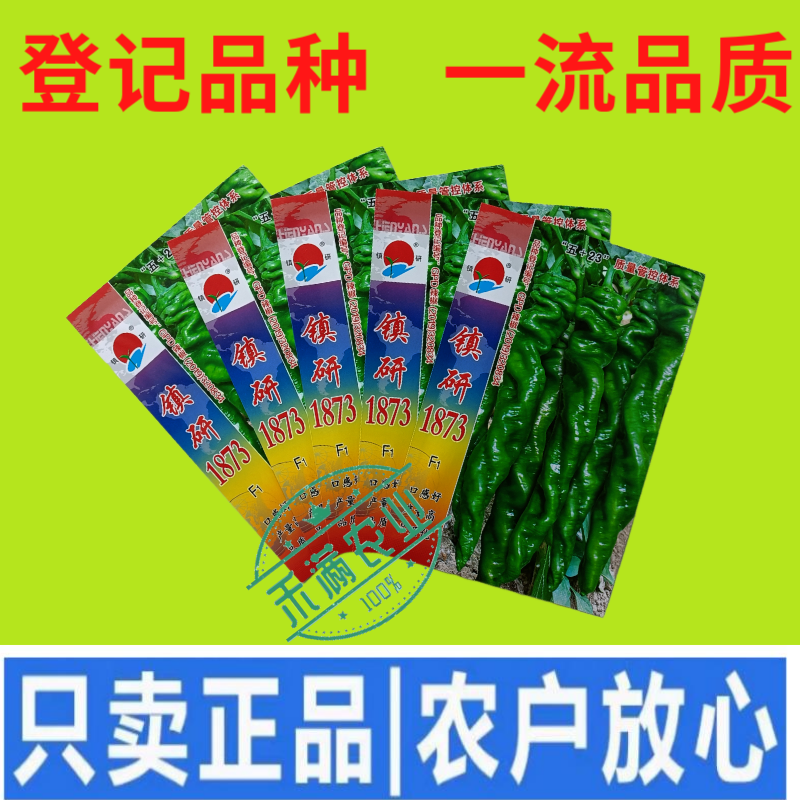 畅销全螺形螺丝椒种子抗逆抗病性强香辣高产辣椒种籽早春种植