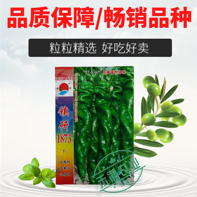 畅销全螺形螺丝椒种子抗逆抗病性强香辣高产辣椒种籽早春种植