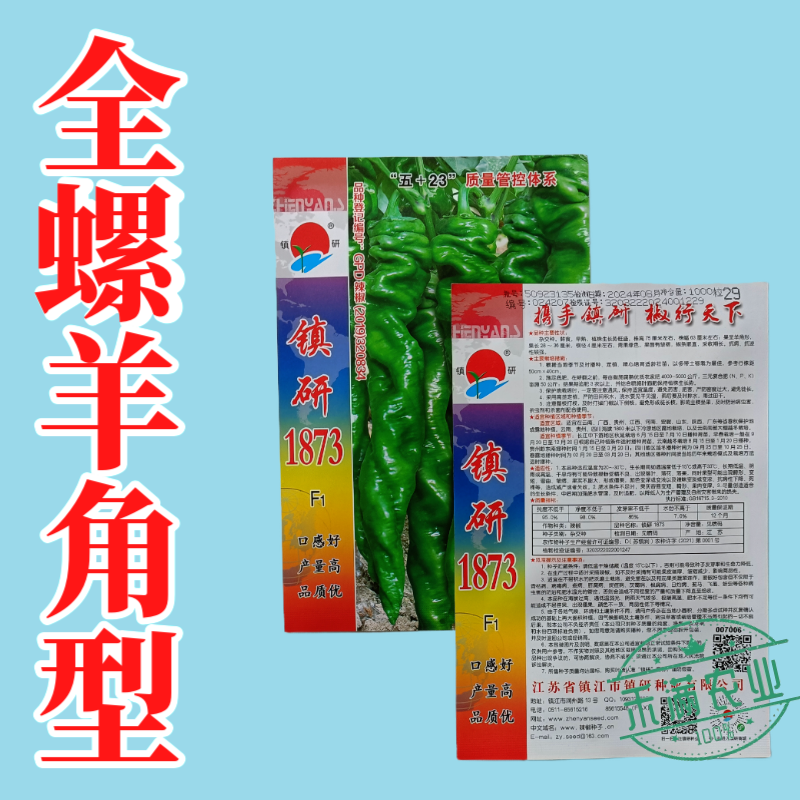 畅销全螺形螺丝椒种子抗逆抗病性强香辣高产辣椒种籽早春种植