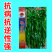 畅销全螺形螺丝椒种子抗逆抗病性强香辣高产辣椒种籽早春种植