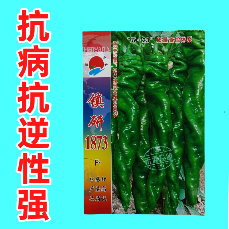 畅销全螺形螺丝椒种子抗逆抗病性强香辣高产辣椒种籽早春种植