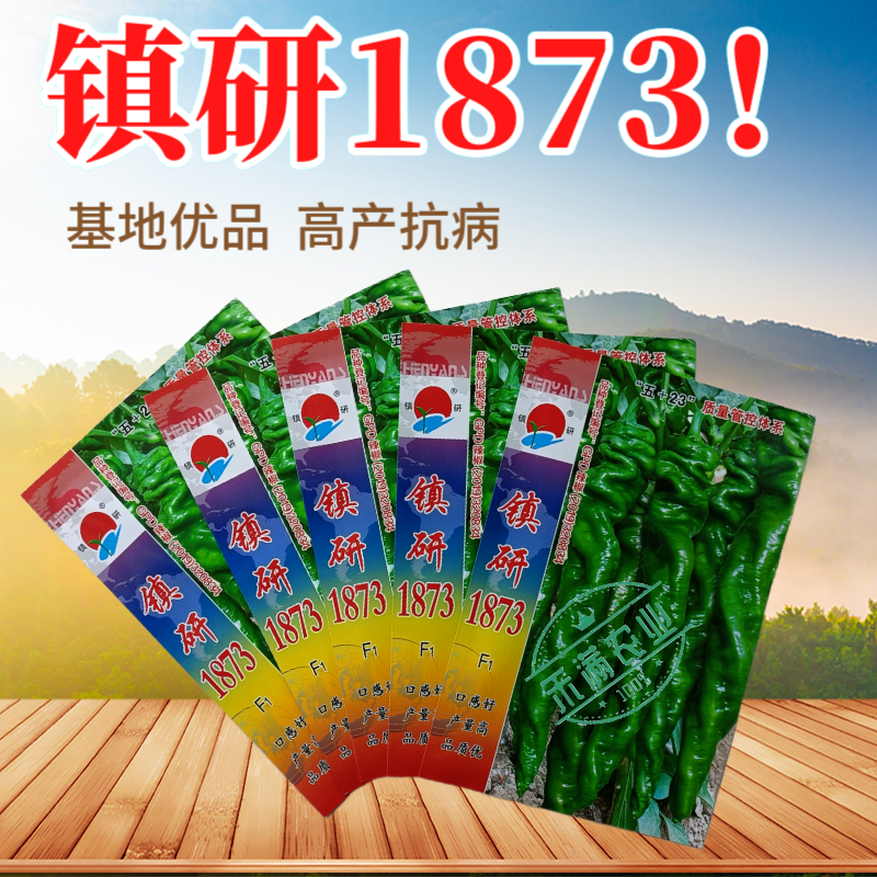 畅销全螺形螺丝椒种子抗逆抗病性强香辣高产辣椒种籽早春种植