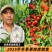 珠玉白肉珍珠小油桃5月底成熟口感脆甜浓甜有蜂蜜