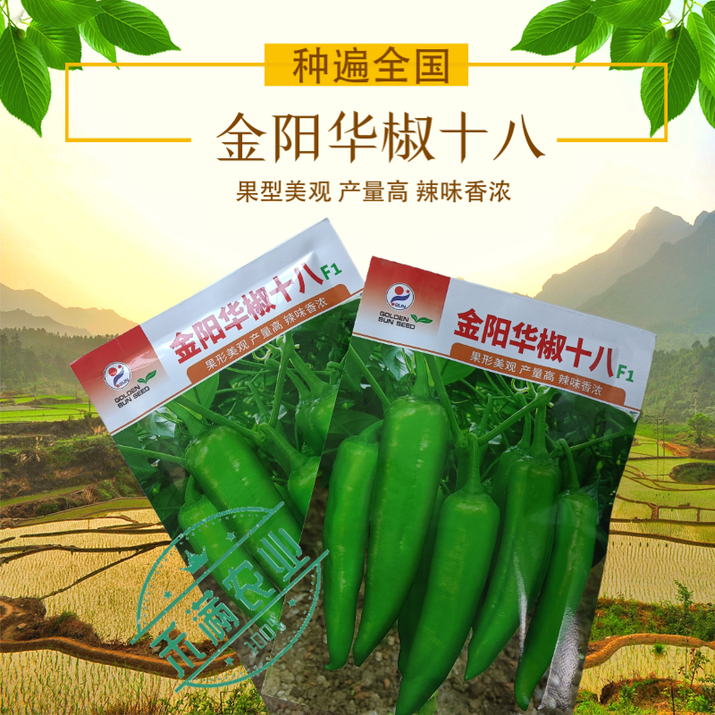 质新品种华椒十八辣椒种子牛角椒种子高产抗病畅销早熟大田基