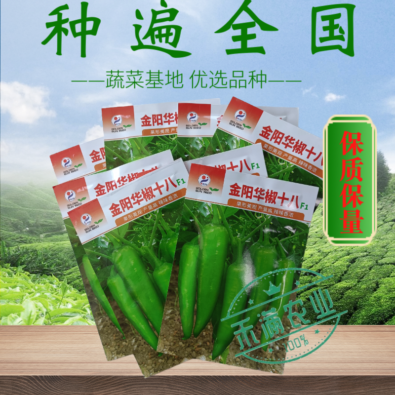 质新品种华椒十八辣椒种子牛角椒种子高产抗病畅销早熟大田基