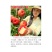 抗蚜52号白肉毛桃6月中下旬可大面积发展的精品桃树苗