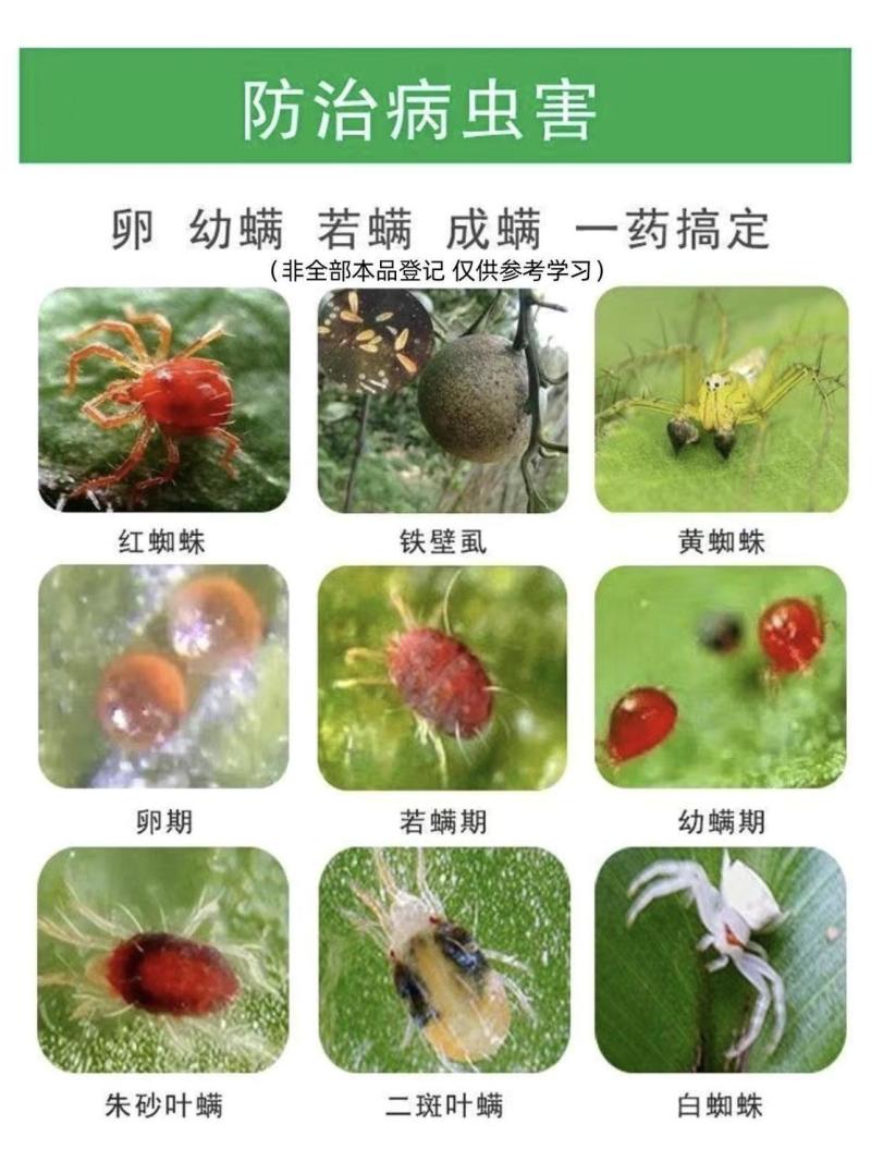 阿维哒螨灵杀虫剂苹果红蜘蛛黄蜘蛛杀虫杀卵杀螨剂正品农药