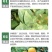 阿维哒螨灵杀虫剂苹果红蜘蛛黄蜘蛛杀虫杀卵杀螨剂正品农药