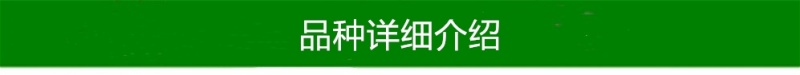 苏丽桃7月白肉sh硬脆甜不软挂树长漂亮毛水蜜桃子