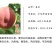 【突围桃苗】春美6月早熟大果丰产加州早甜嫁接苗春雪桃子树