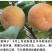 辉太郎新品种辉太郎早熟脆柿日本脆甜柿子树苗