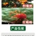 联肼乙螨唑柑橘苹果红蜘蛛螨卵若螨成螨锈壁虱果树蔬菜花卉