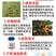 联肼乙螨唑柑橘苹果红蜘蛛螨卵若螨成螨锈壁虱果树蔬菜花卉