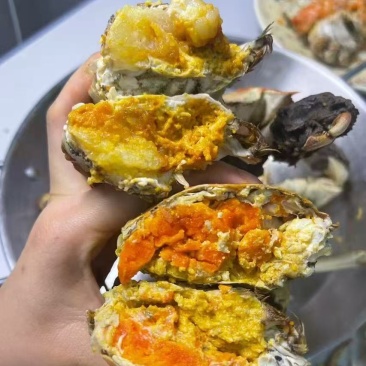 江苏固城湖大闸蟹母蟹每只带防伪码三码合一只只饱满