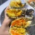 江苏固城湖大闸蟹母蟹每只带防伪码三码合一只只饱满