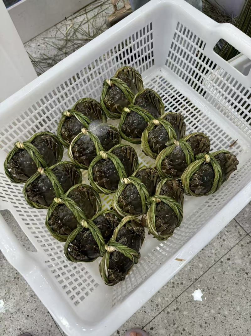 江苏固城湖大闸蟹母蟹每只带防伪码三码合一只只饱满