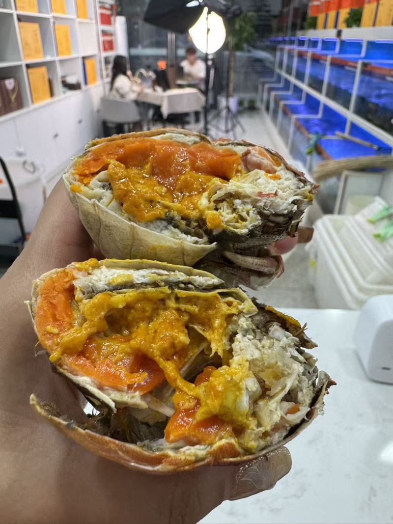 江苏固城湖大闸蟹公蟹每只带防伪码三码合一只只饱满