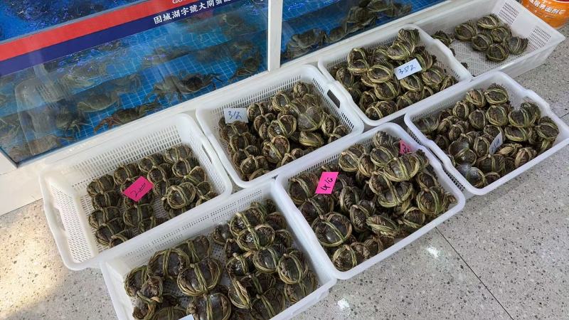 江苏固城湖大闸蟹公蟹每只带防伪码三码合一只只饱满